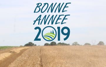 Bonne année 2019