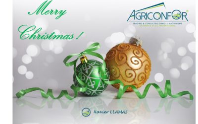 MERRY CHRISTMAS 2019