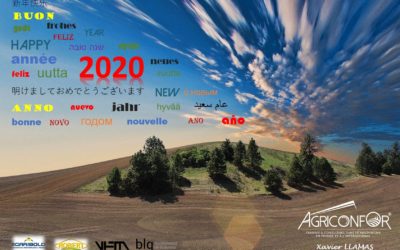 Happy new year 2020!